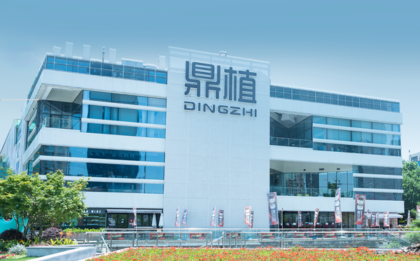 DingZhi Dental (Shanghai)